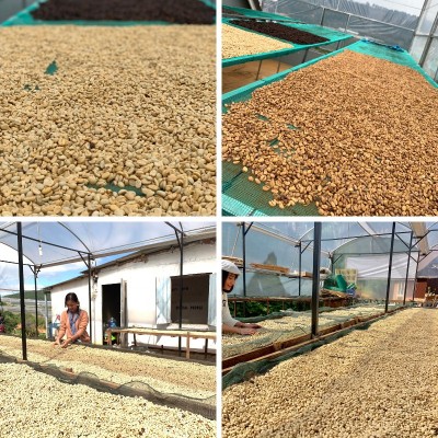 500GR Cà phê đá ANNI COFFEE Buôn Mê Thuột - cafe rang xay, nguyên chất, gu đậm - 80% Robusta + 20% Arabica